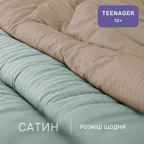 Комплект постільної білизни Сатин TEENAGER Satin Stripe 30-0015 + 30-0004 Gavenia - 2