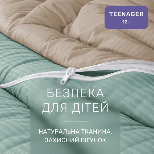 Комплект постільної білизни Сатин TEENAGER Satin Stripe 30-0015 + 30-0004 Gavenia - 3