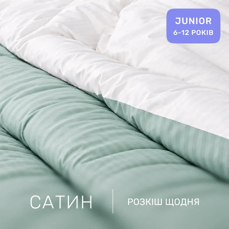 Комплект постільної білизни Сатин JUNIOR Satin Stripe 30-0013 + 30-0001 Gilberta - 1
