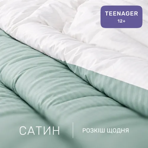 Комплект постільної білизни Сатин TEENAGER Satin Stripe 30-0013 + 30-0001 Gilberta - 2