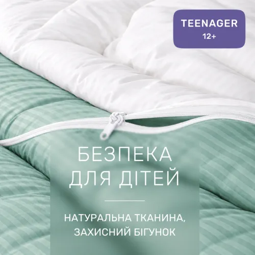 Комплект постільної білизни Сатин TEENAGER Satin Stripe 30-0013 + 30-0001 Gilberta - 3