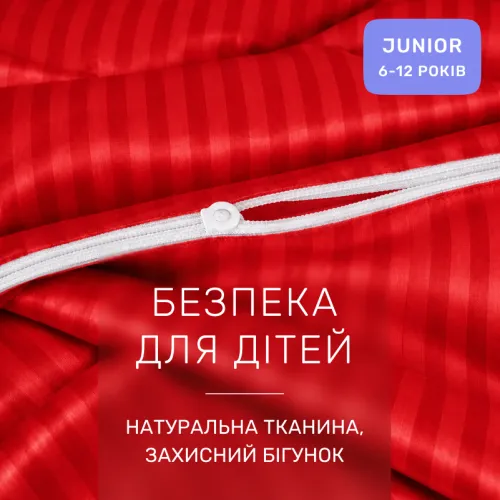 Комплект постельного белья Сатин JUNIOR Satin Stripe 30-0018 Red - 3