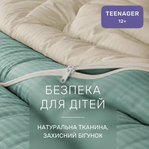 Комплект постільної білизни Сатин TEENAGER Satin Stripe 30-0013 + 30-0004 Rovena - 3
