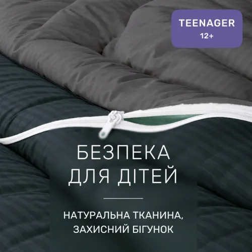 Комплект постельного белья Сатин TEENAGER Satin Stripe 30-0021 + 30-0017 Serikan - 3