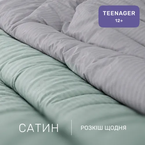 Комплект постільної білизни Сатин TEENAGER Satin Stripe 30-0013 + 30-0010 Windly - 2