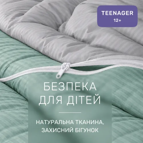 Комплект постільної білизни Сатин TEENAGER Satin Stripe 30-0013 + 30-0010 Windly - 3