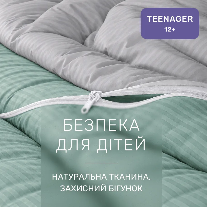 Комплект постільної білизни Сатин TEENAGER Satin Stripe 30-0013 + 30-0010 Windly - 2