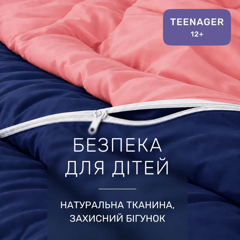 Комплект постельного белья Сатин TEENAGER Delphinium 0132+4052 - 2