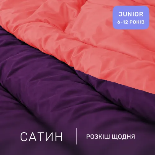 Комплект постельного белья Сатин JUNIOR Pion 0132+3220 - 2