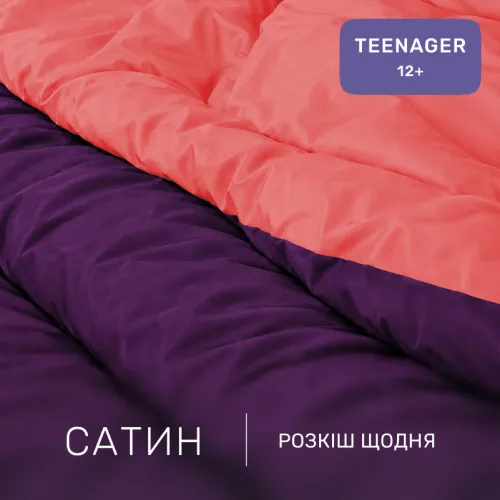 Комплект постельного белья Сатин TEENAGER Pion 0132+3220 - 2