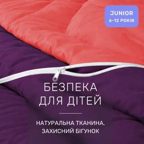 Комплект постельного белья Сатин JUNIOR Pion 0132+3220 - 3