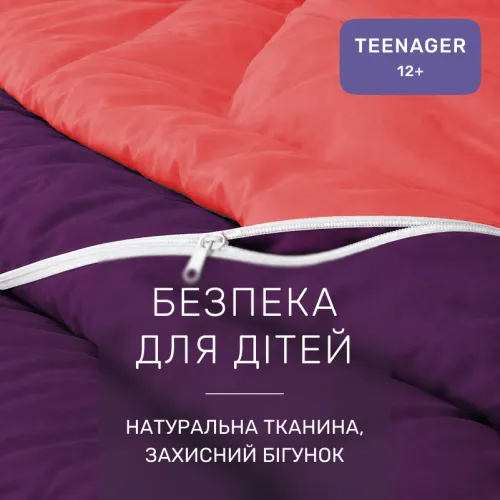 Комплект постельного белья Сатин TEENAGER Pion 0132+3220 - 3