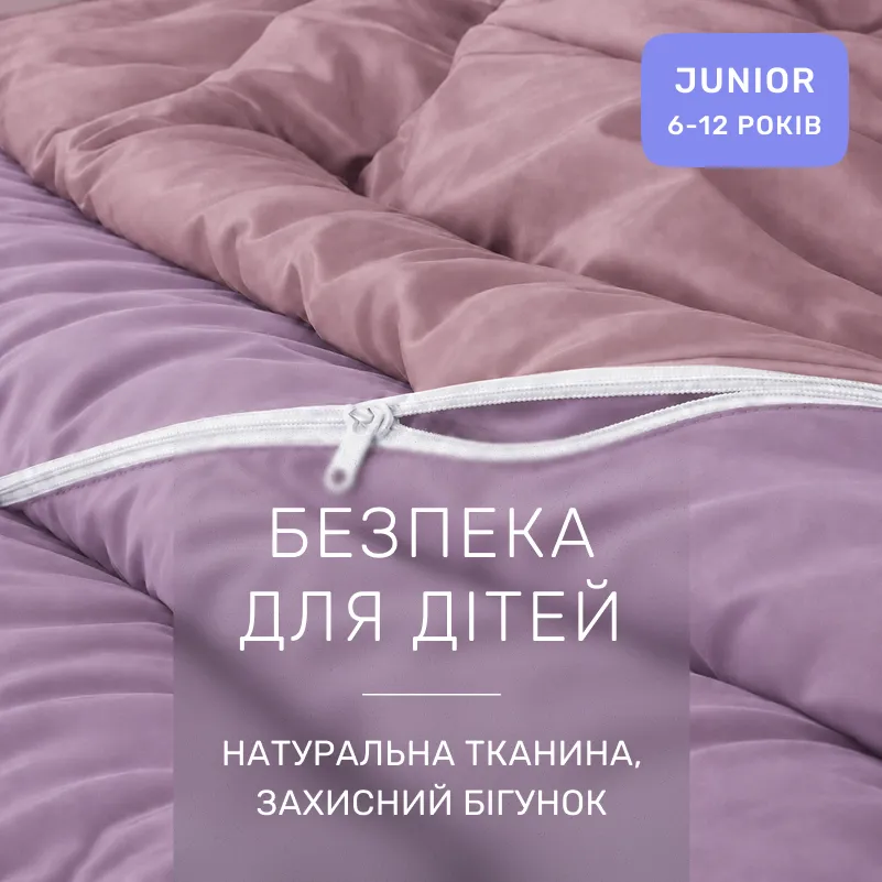Комплект постільної білизни Сатин JUNIOR Violet 0199+0231 - 2