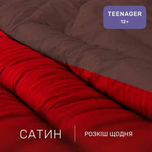 Комплект постельного белья Сатин TEENAGER Satin Stripe 30-0018 + 30-0006 Brendon - 2