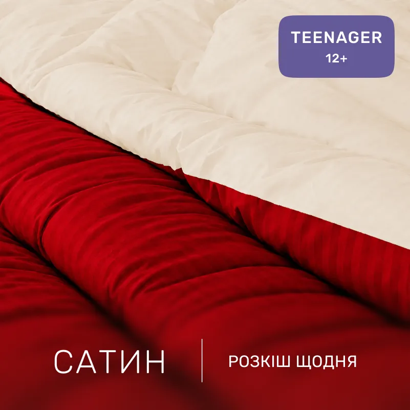 Комплект постельного белья Сатин TEENAGER Satin Stripe 30-0018 + 30-0004 Jenadi - 1