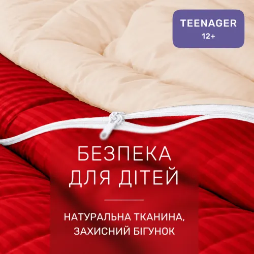 Комплект постельного белья Сатин TEENAGER Satin Stripe 30-0018 + 30-0004 Jenadi - 3