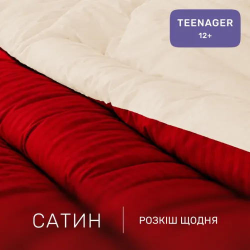 Комплект постельного белья Сатин TEENAGER Satin Stripe 30-0018 + 30-0002 Karimi - 2