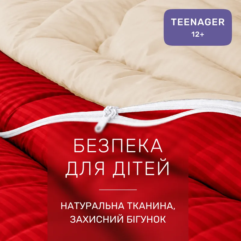 Комплект постельного белья Сатин TEENAGER Satin Stripe 30-0018 + 30-0002 Karimi - 2