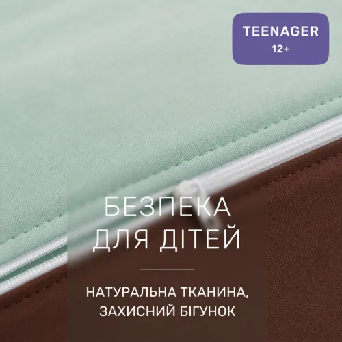 Комплект постельного белья TEENAGER Фланель 006-003 Menthol/Brown - 3