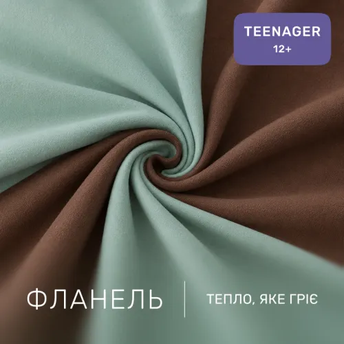 Комплект постельного белья TEENAGER Фланель 006-003 Menthol/Brown - 2