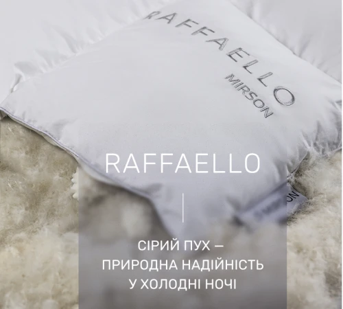 Ковдра пухова касетна Raffaello №053 90% сірий пух Standart / 10% перо тик Premium - 2