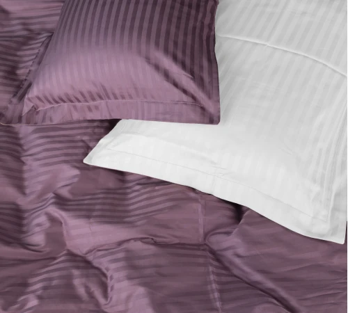 Постельное белье Satin Stripe 30-0008 + 30-0001 Bethseda