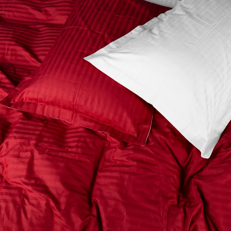 Постельное белье Satin Stripe 30-0018 + 30-0001 Feinarina