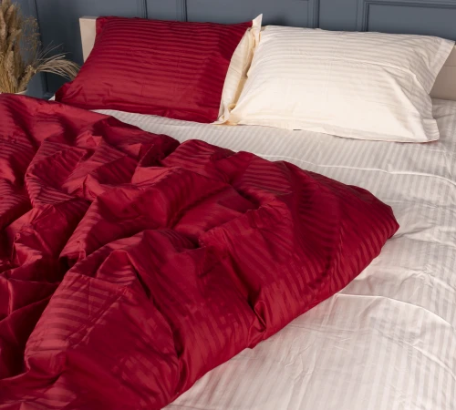 Підковдра Satin Stripe 30-0018 + 30-0004 Jenadi