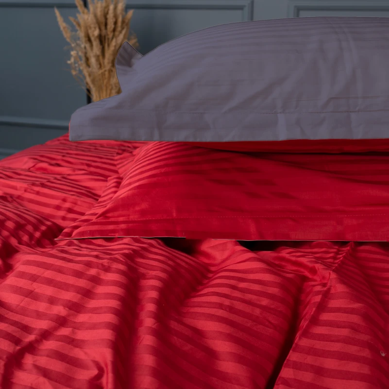 Постельное белье Satin Stripe 30-0018 + 30-0012 Jeren - 4