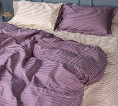 Підковдра Satin Stripe 30-0008 + 30-0004 Waleis