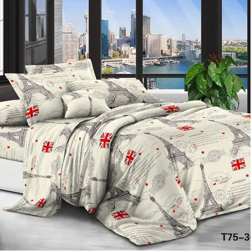 Комплект постільної білизни Мікрофібра принт 15-0379 Zaragoza