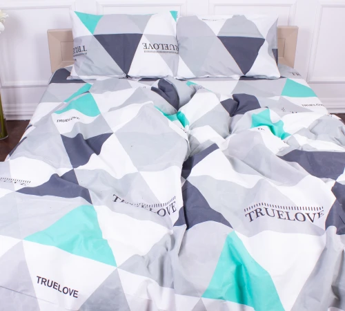 Комплект постельного белья Микрофибра принт 15-0281 Beatrice 