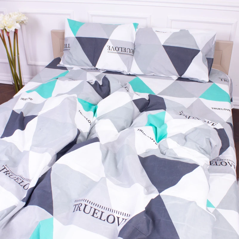 Комплект постельного белья Микрофибра принт 15-0281 Beatrice  - 2