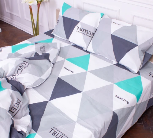 Комплект постельного белья Микрофибра принт 15-0281 Beatrice  - 2