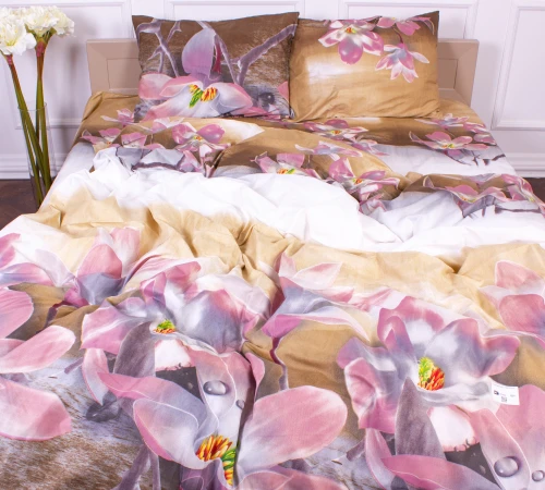 Комплект постельного белья Микрофибра принт 15-0265 Richard 