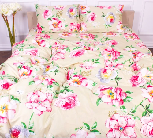 Комплект постельного белья Микрофибра принт 15-0591 Infinity 