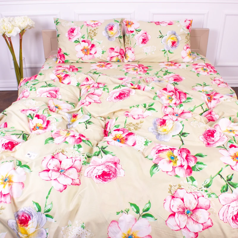 Комплект постельного белья Микрофибра принт 15-0591 Infinity 