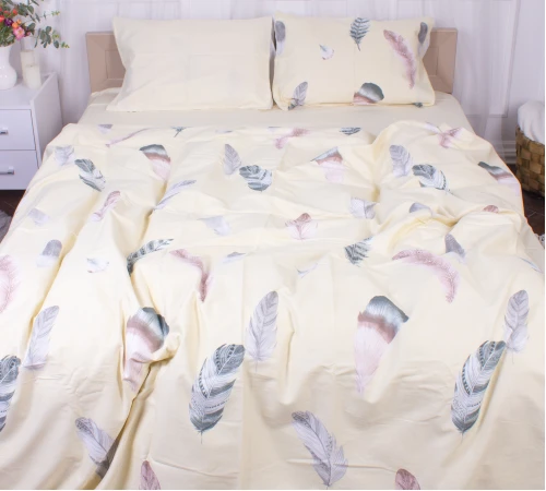 Комплект постельного белья Сатин 22-1351 Feathers