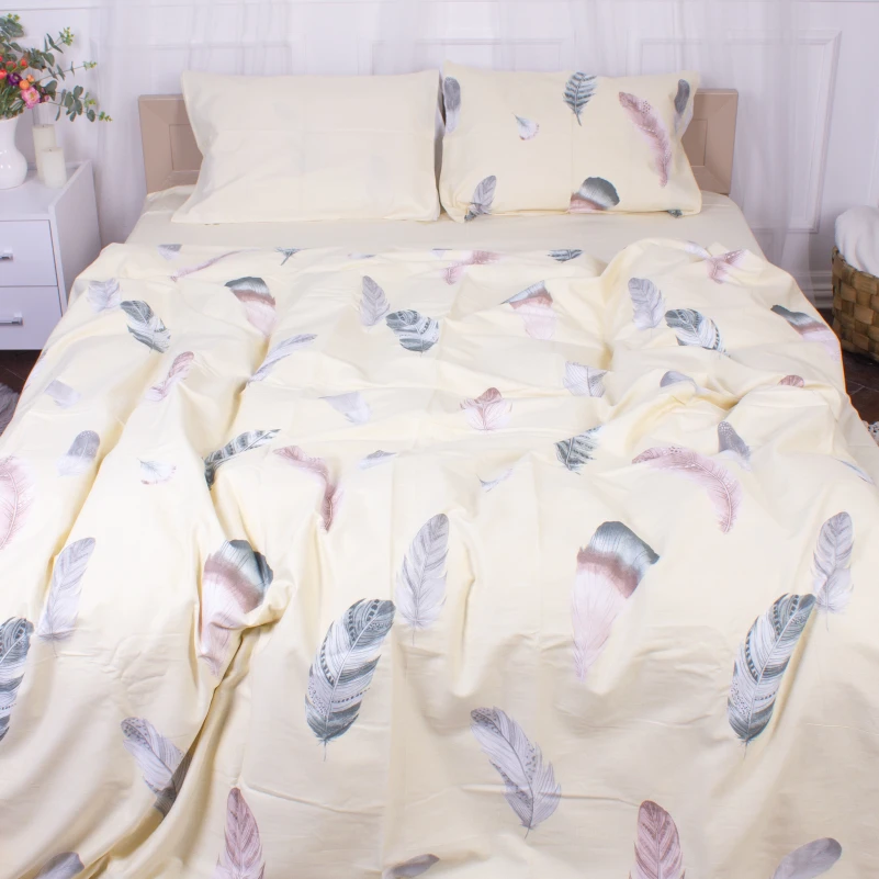 Комплект постельного белья Сатин 22-1351 Feathers