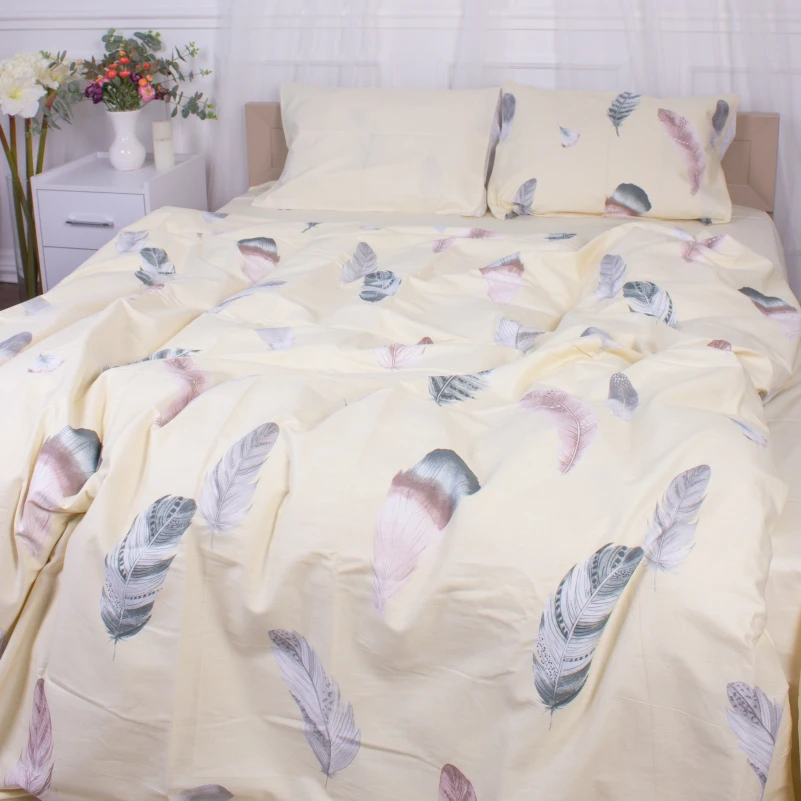 Комплект постельного белья Сатин 22-1351 Feathers - 1