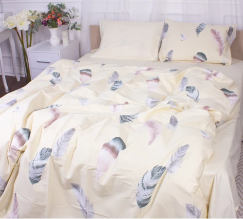 Наволочка Сатин 22-1351 Feathers