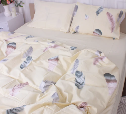 Наволочка Сатин 22-1351 Feathers - 2