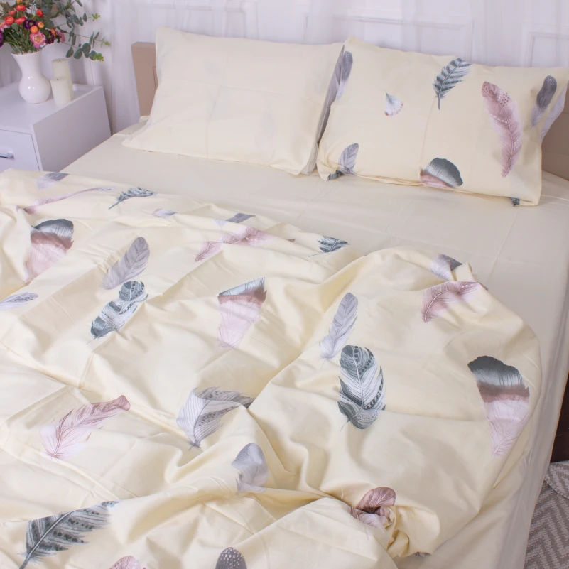 Комплект постельного белья Сатин 22-1351 Feathers - 3