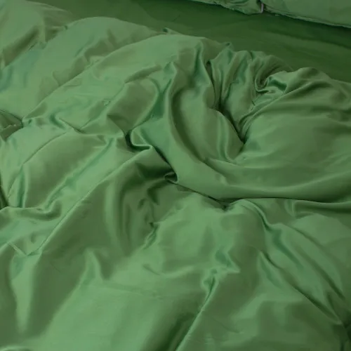 Комплект постельного белья Искусственный шелк 23-0010 Salad