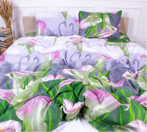 Комплект постельного белья Микрофибра принт 15-0049 Hong Kong
