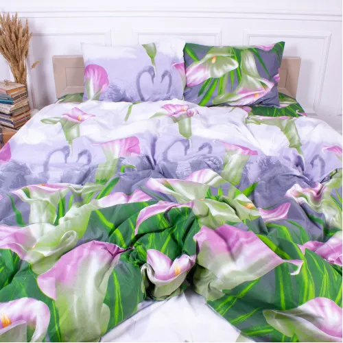 Комплект постільної білизни Мікрофібра принт 15-0049 Hong Kong