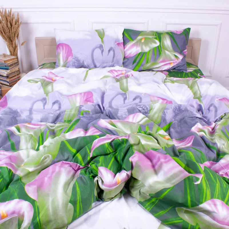 Комплект постельного белья Микрофибра принт 15-0049 Hong Kong