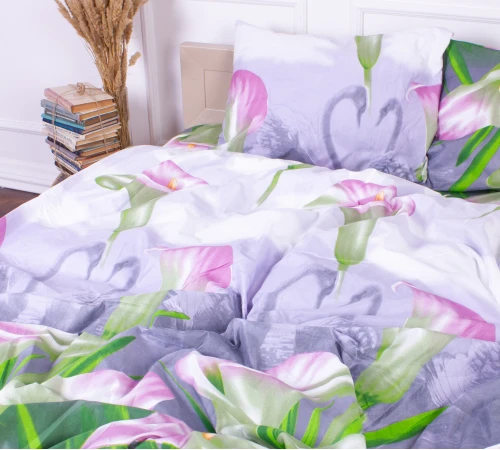 Комплект постельного белья Микрофибра принт 15-0049 Hong Kong - 2