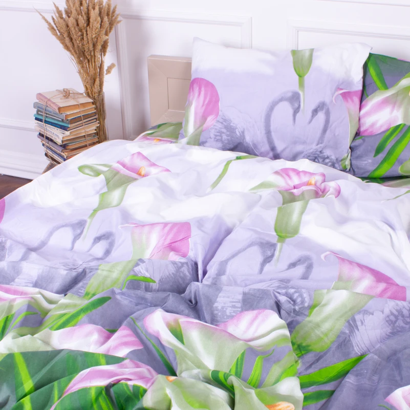 Комплект постельного белья Микрофибра принт 15-0049 Hong Kong - 1