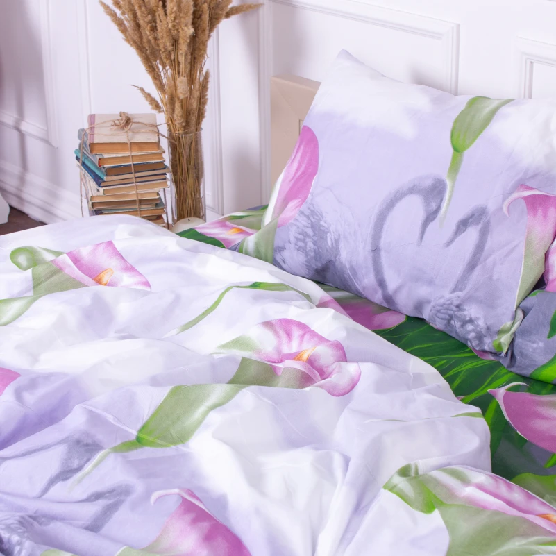 Комплект постельного белья Микрофибра принт 15-0049 Hong Kong - 3